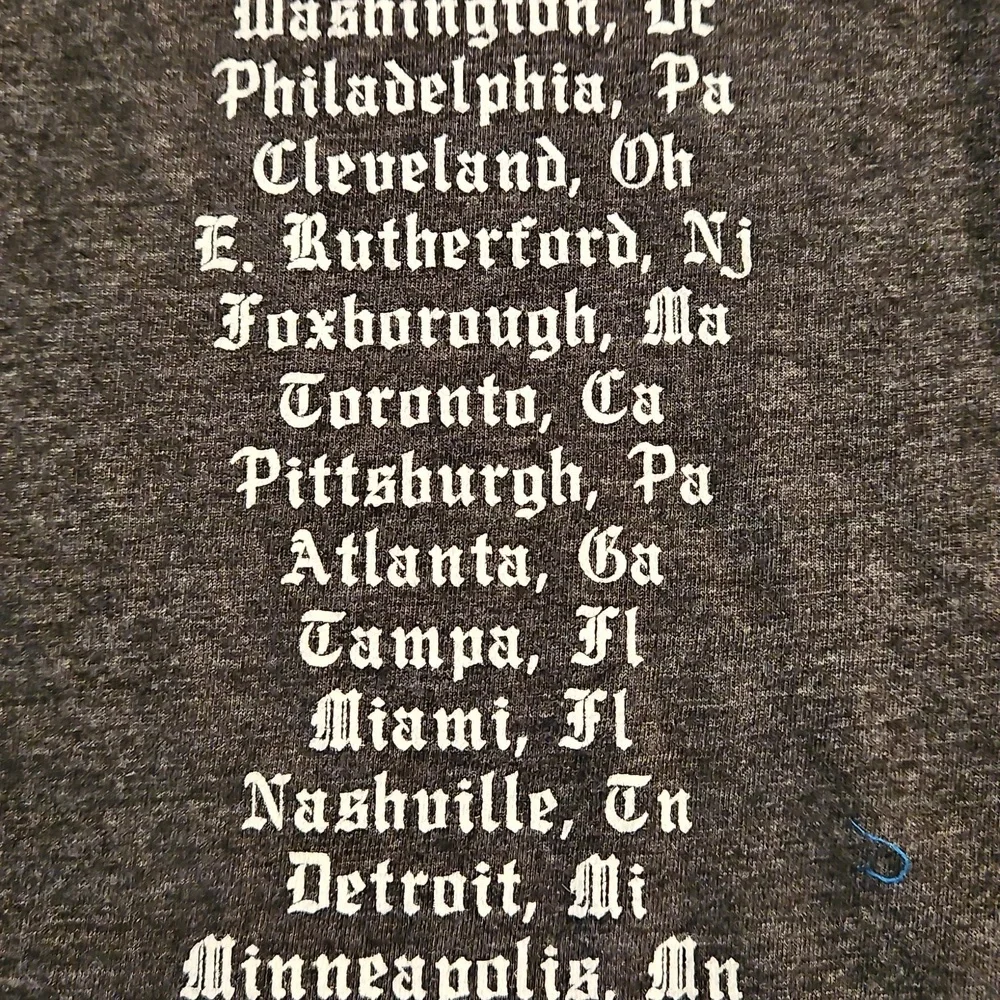 Taylor Swift  gray short sleeve graphic concert tee Med. REPUTATION tour dates - Picture 8 of 9